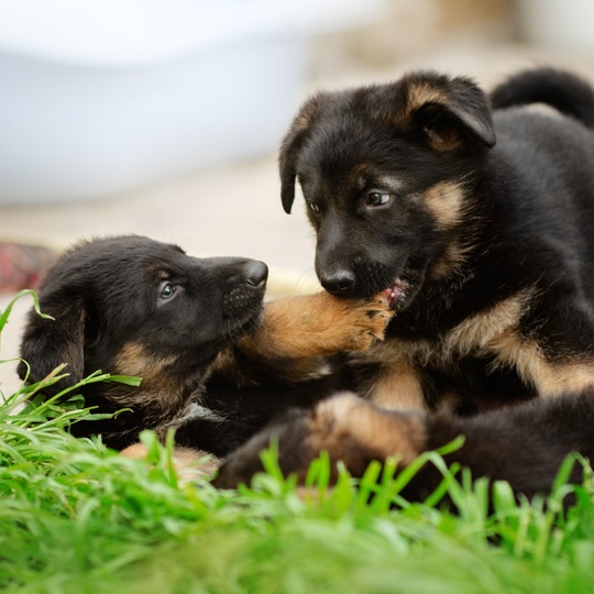 AdobeStock_346173961