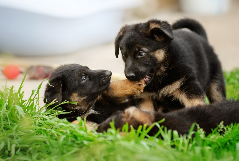 AdobeStock_346173961