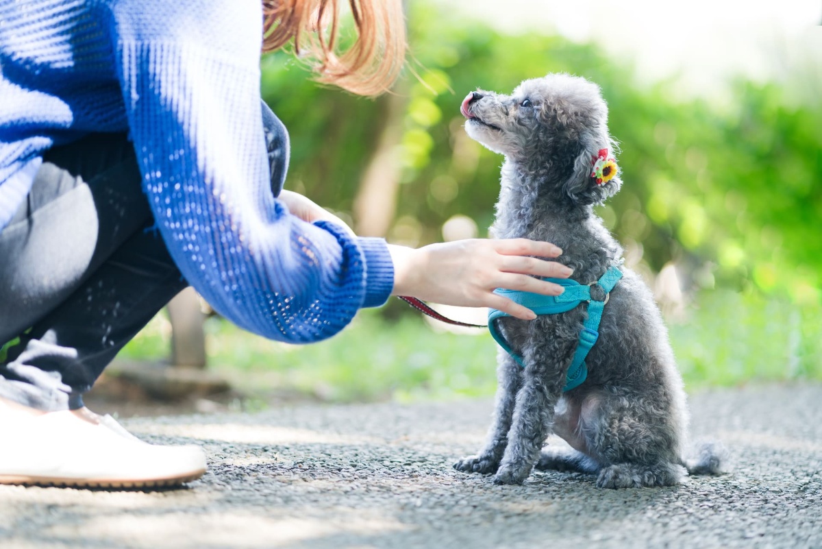 AdobeStock_173337077 (1)