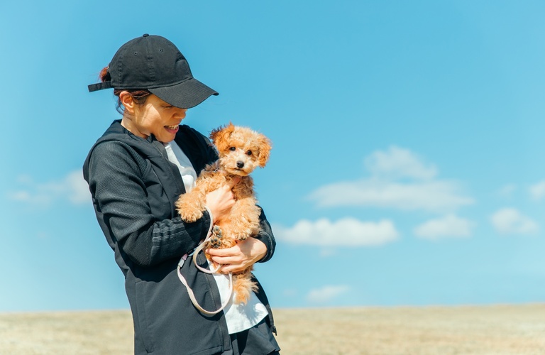 散歩代行のプロ | 埼玉のドッグトレーニングならK-DogTraining